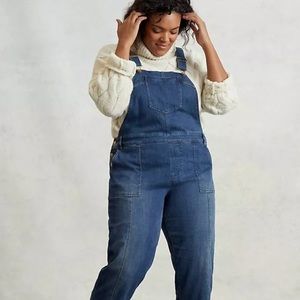 Anthropologie Pilcro Seamed Relaxed Demin Overalls